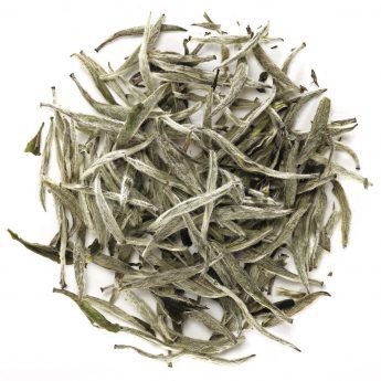 Premium virgin white tea